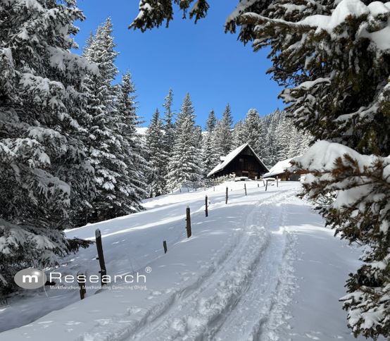 mresearch Weihnachten Danke